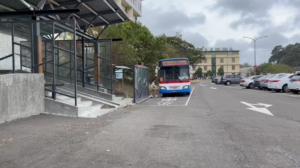 學生正在上下公車中 Students getting on and off the bus